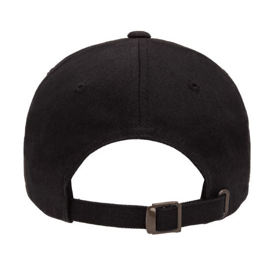 Veve Logo Dad hat.