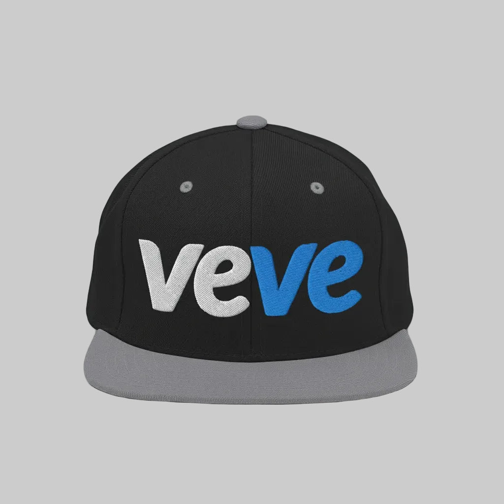 VeVe New Logo Snapback Hat — Black/Silver color variant, flatlay from Common Club